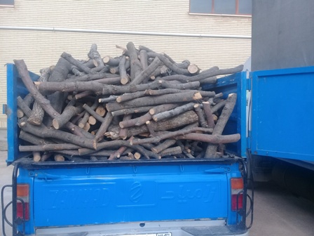 کشف ۸۰۰ کیلوگرم چوب بلوط غیر مجاز در برخوار