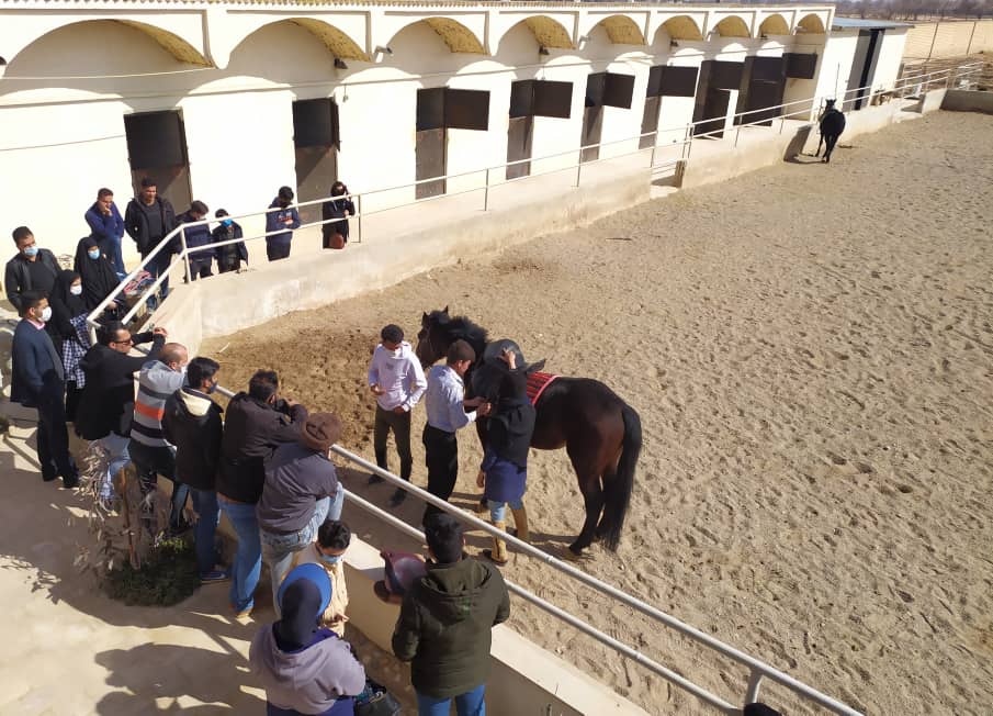برگزاری کارگاه آموزشی آشنایی با قوانین مسابقات ورزشی اسب های اصیل در برخوار