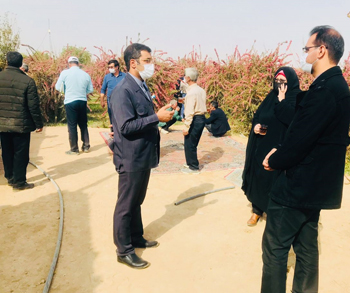 بازدید رئیس مرکز آموزش فنی وحرفه ای شهرستان برخوار از مزرعه کاشت زرشک در شهر دلیگان
