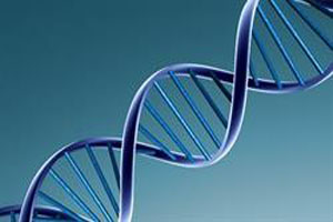 میکروچیپ آشکار ساز DNA توسط محققان ایرانی بومی سازی شد